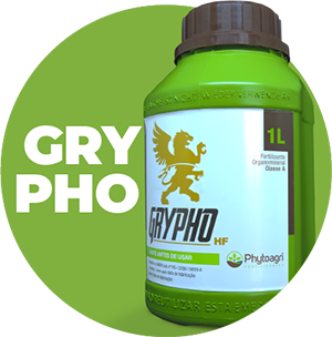 Grypho produto