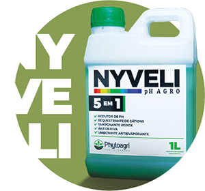 Nyveli
